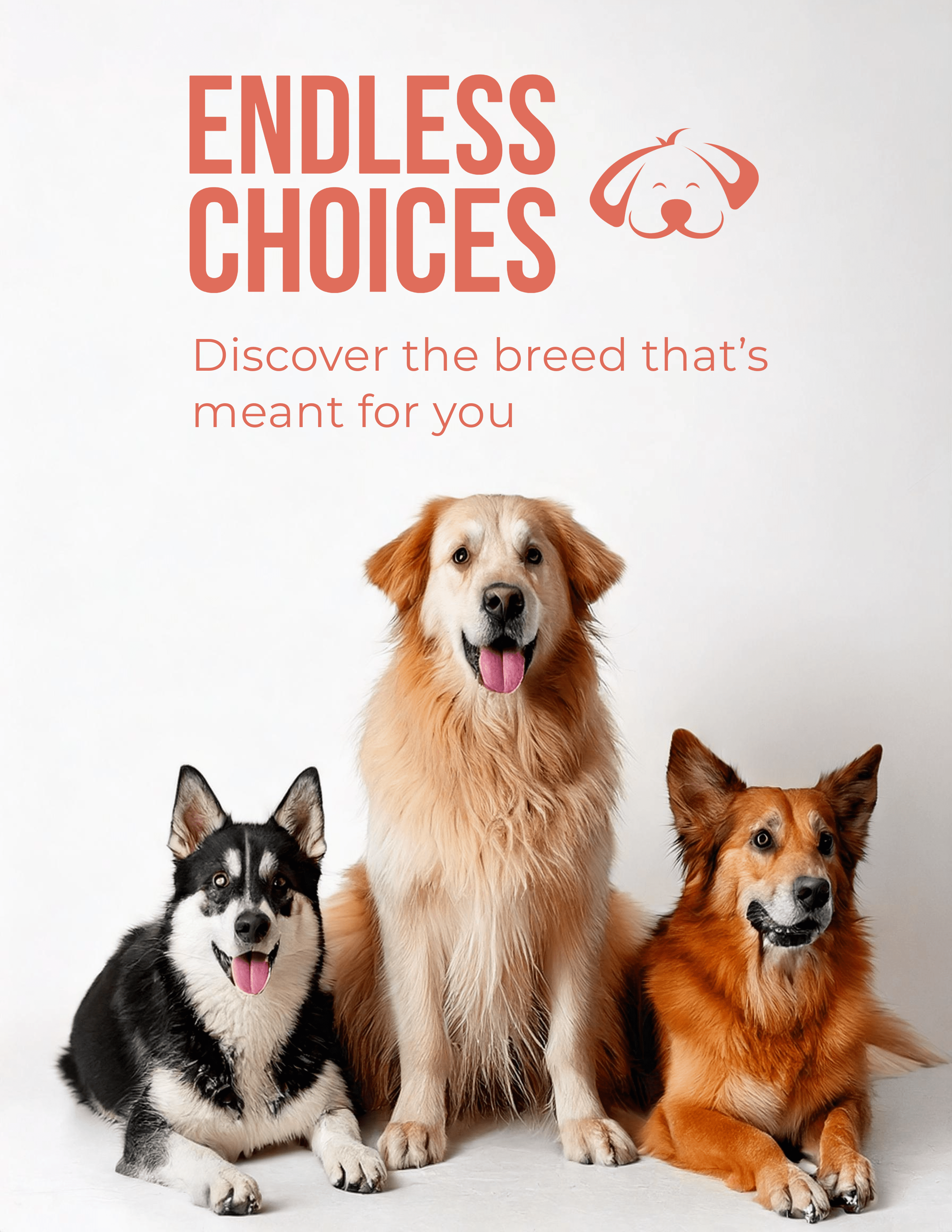 Buy puppies and kittens directly from trusted breeders - No middlemen, only healthy pets at Critters